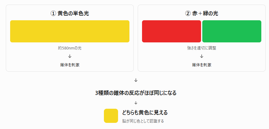 黄色の単色光と赤・緑の光を比べ、3種類の錐体の反応がほぼ同じになると、どちらも黄色に見えることを示す図